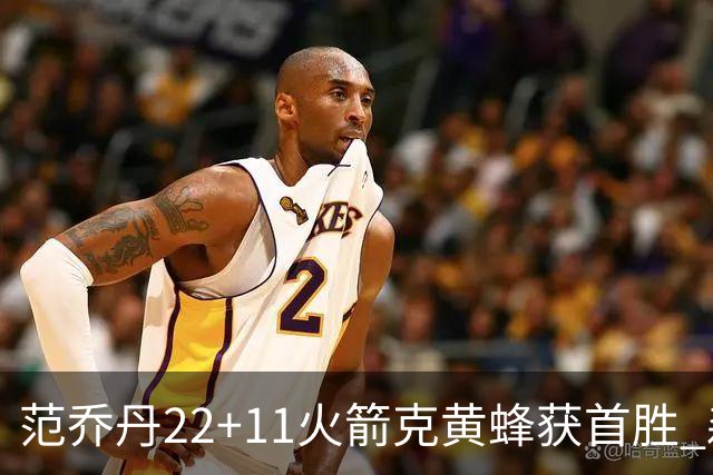 范乔丹22+11火箭克黄蜂获首胜 森林狼大胜掘金